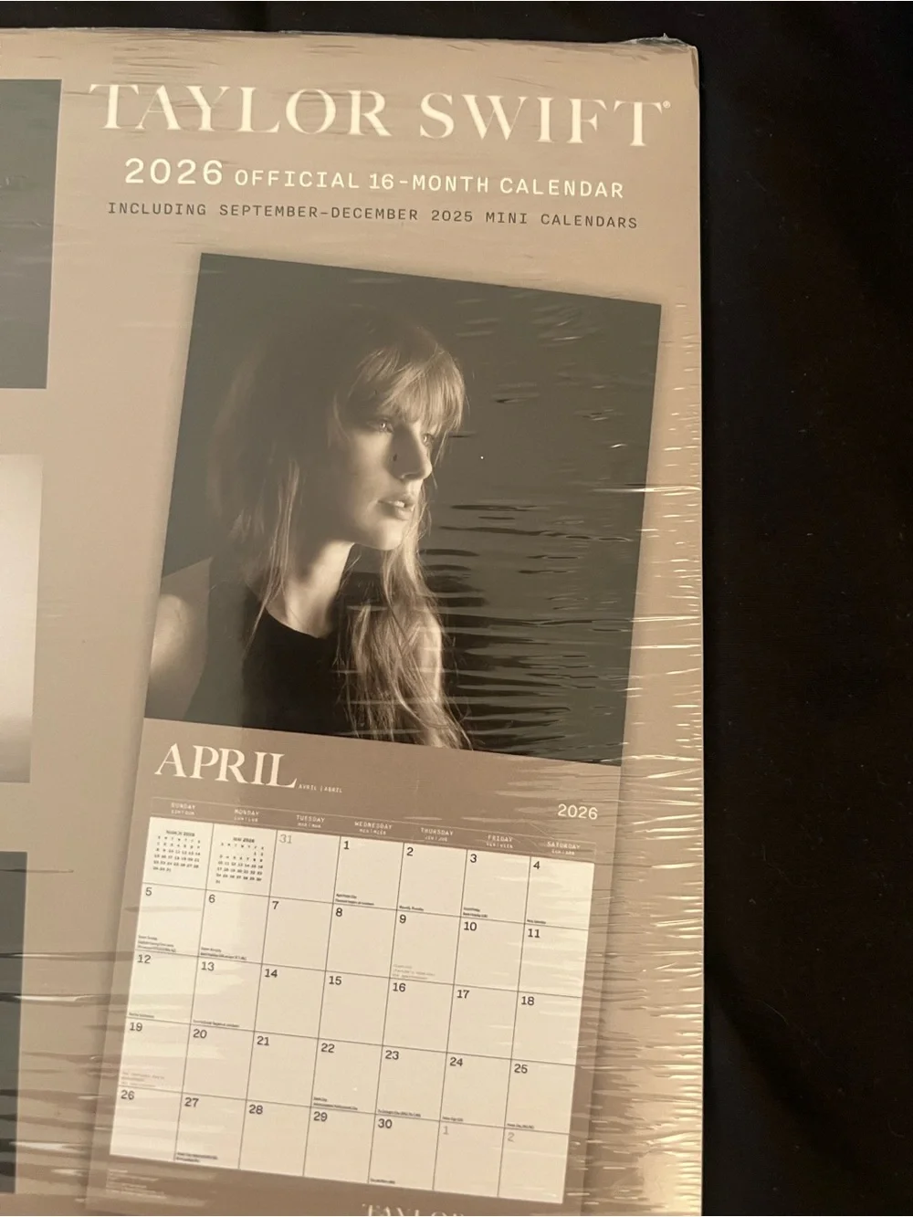 Taylor Swift 2026 Wall Calendar